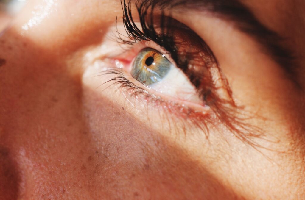 Close up of a persons eye.